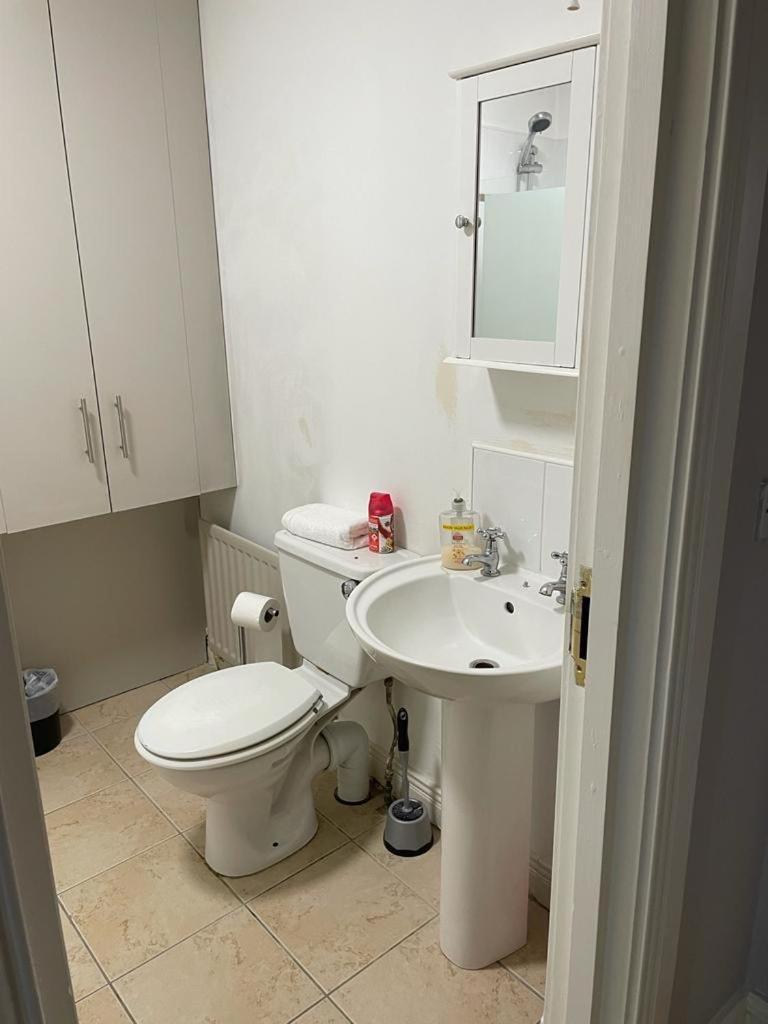 Apartment Malone Serviced *